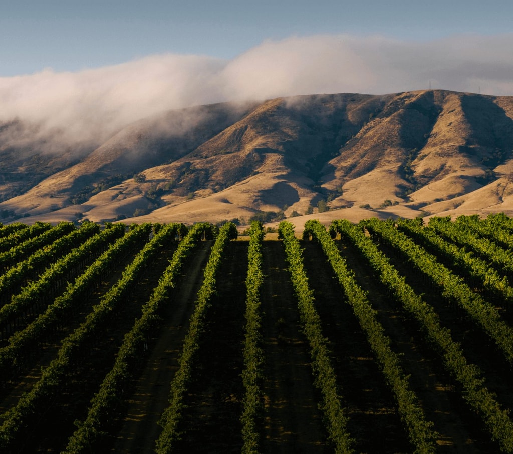 Baileyana Winery