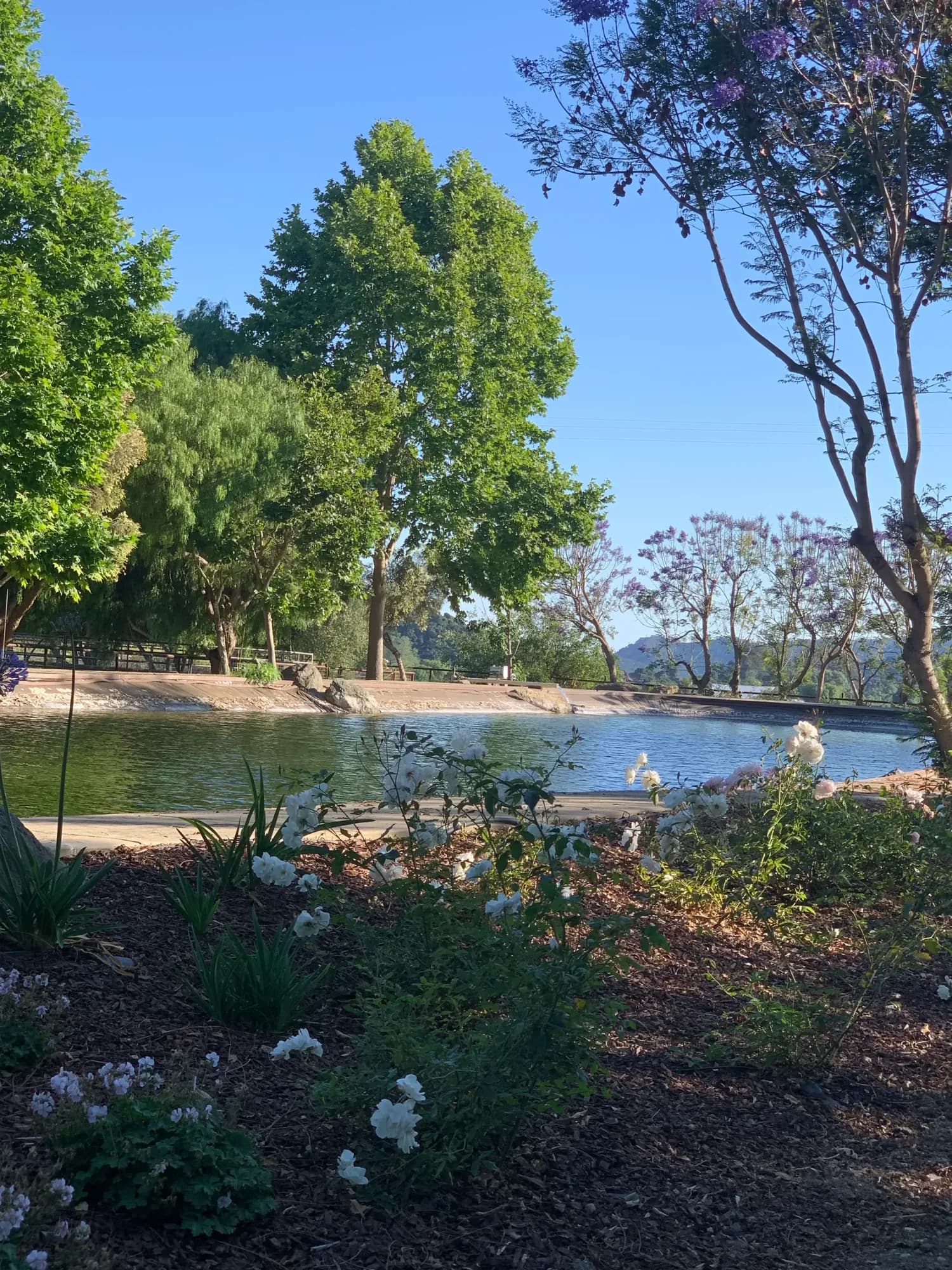 Trout Pond
