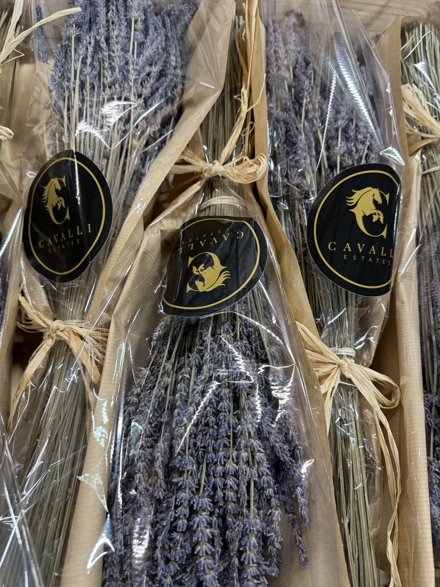 Lavender bundles
