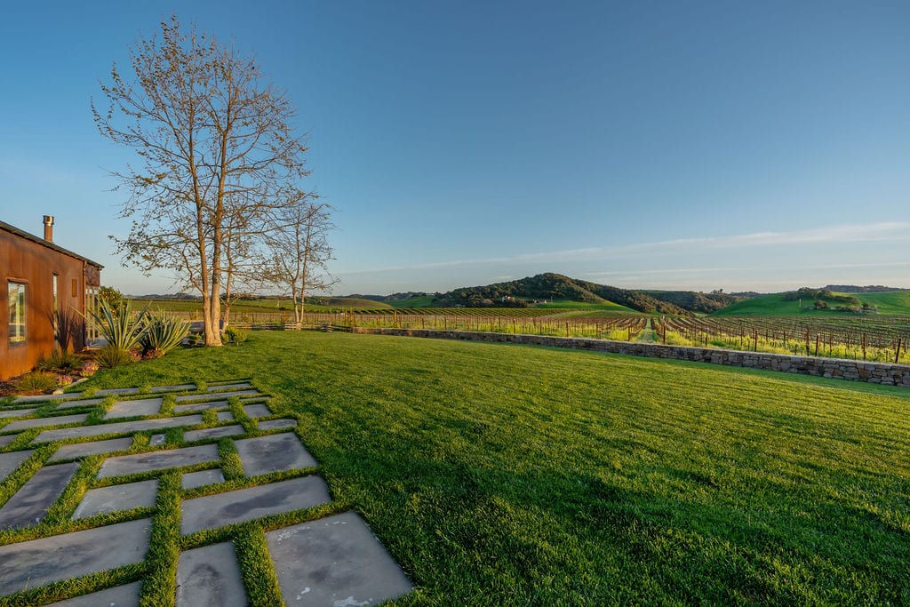 Estate lawn with vineyard beyond