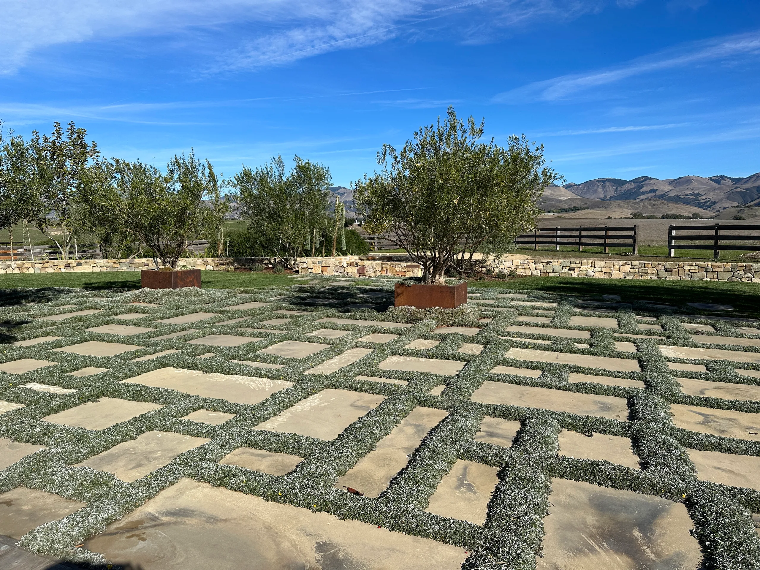 Vineyard House yard