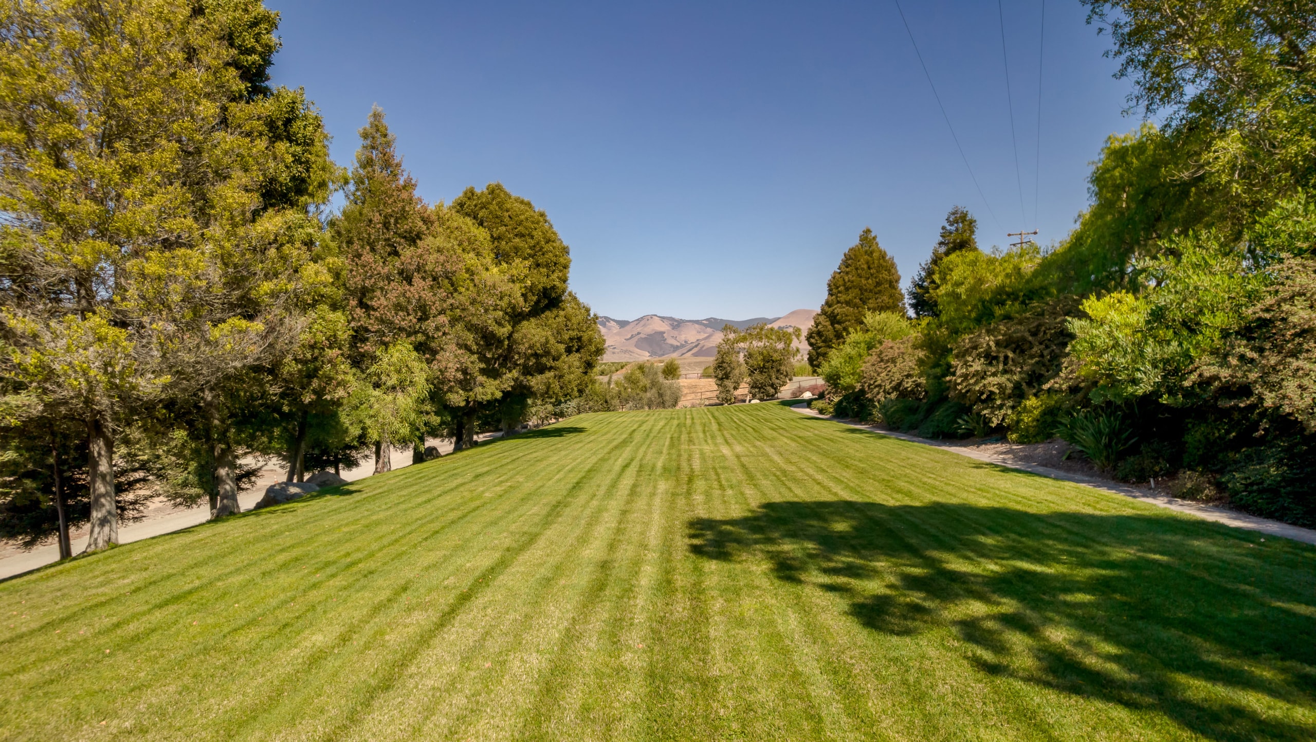 Estate lawn framed by mature trees, with Edna Valley hills beyond