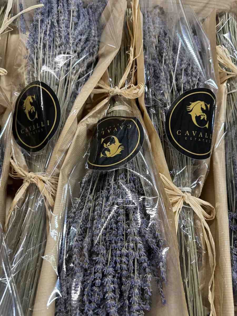 Wrapped lavender bundles with Cavalli Estates labels