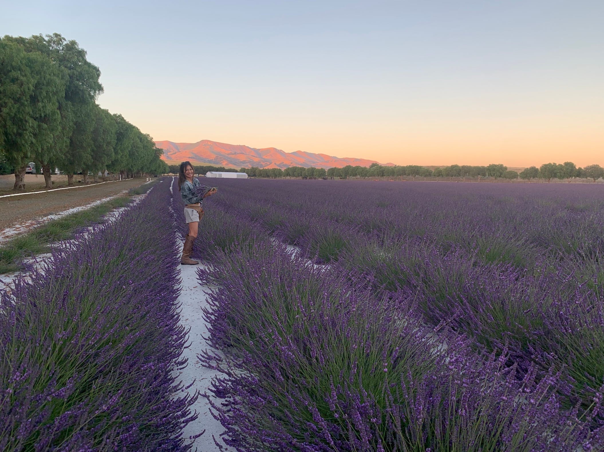 Lisa standing among lavender rows with hills beyond