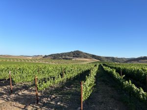 Luxury Vacation Rentals in San Luis